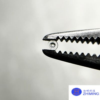 kaufen Anpassbares 0,15 mm Monokristallines Al2O3 Saphirlager mit 9 Mohs-Härte für Präzisionsuhren und Juwelieranwendungen Online-Herstellung